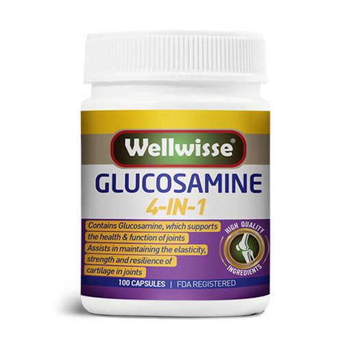 WELLWISSE GLUCOSAMINE 4-IN-1 - 100 capsules